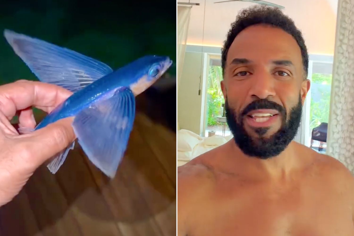 Craig David’s Flying Fish Rescue Ends in Nature’s Brutal Lesson