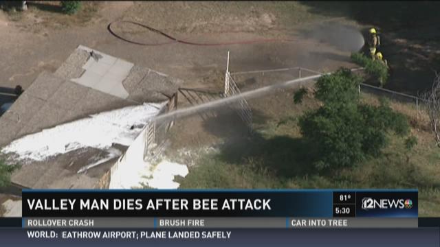 Heroic Lyford Officers Save Elderly Man Stung 30 Times in Bee Attack